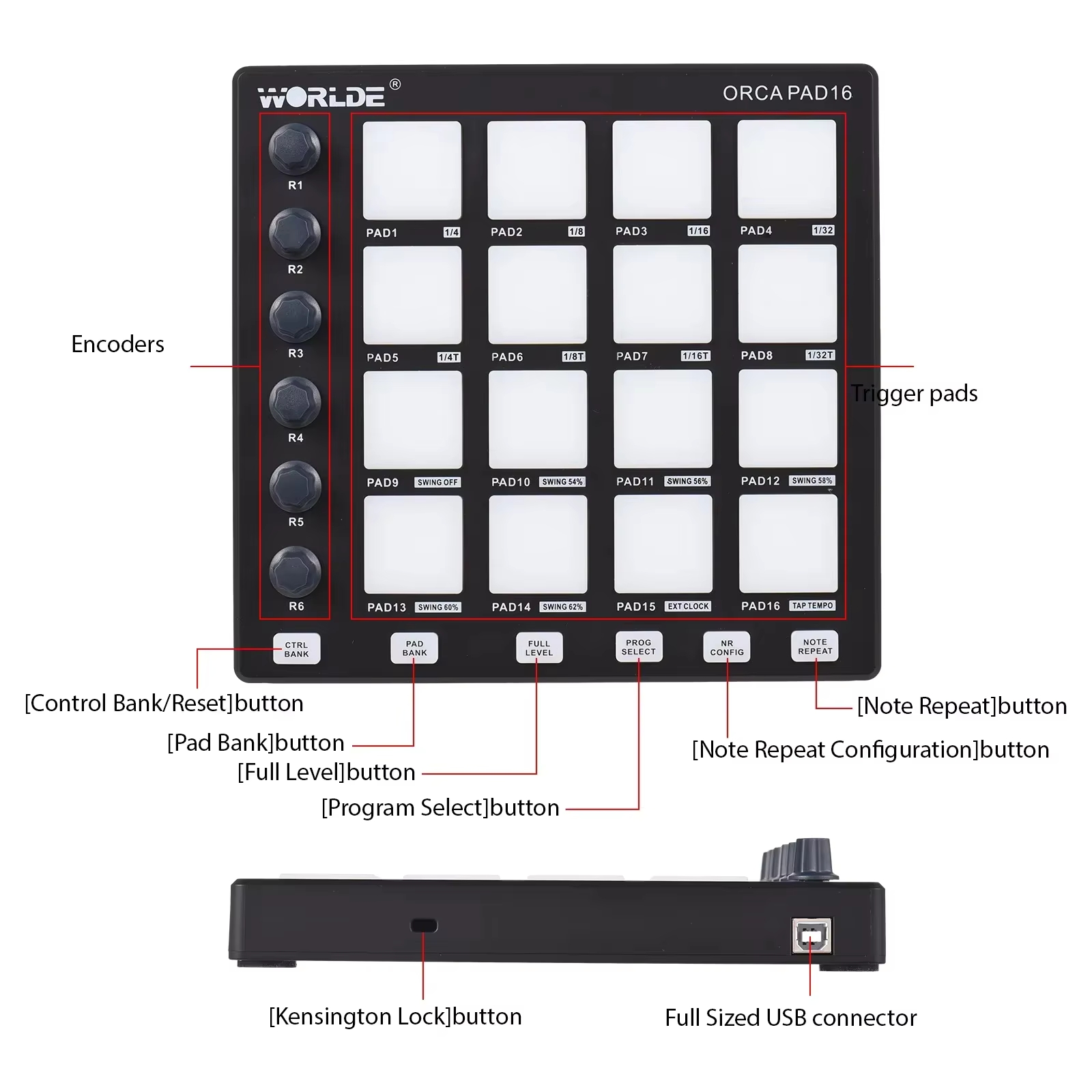 WORLDE ORCA PAD16 Controller M - Midi Controller Pad recensione e prezzo